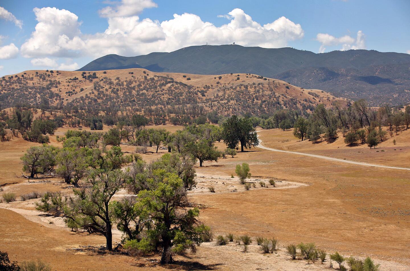 Canyon Ranch near San Luis Obispo