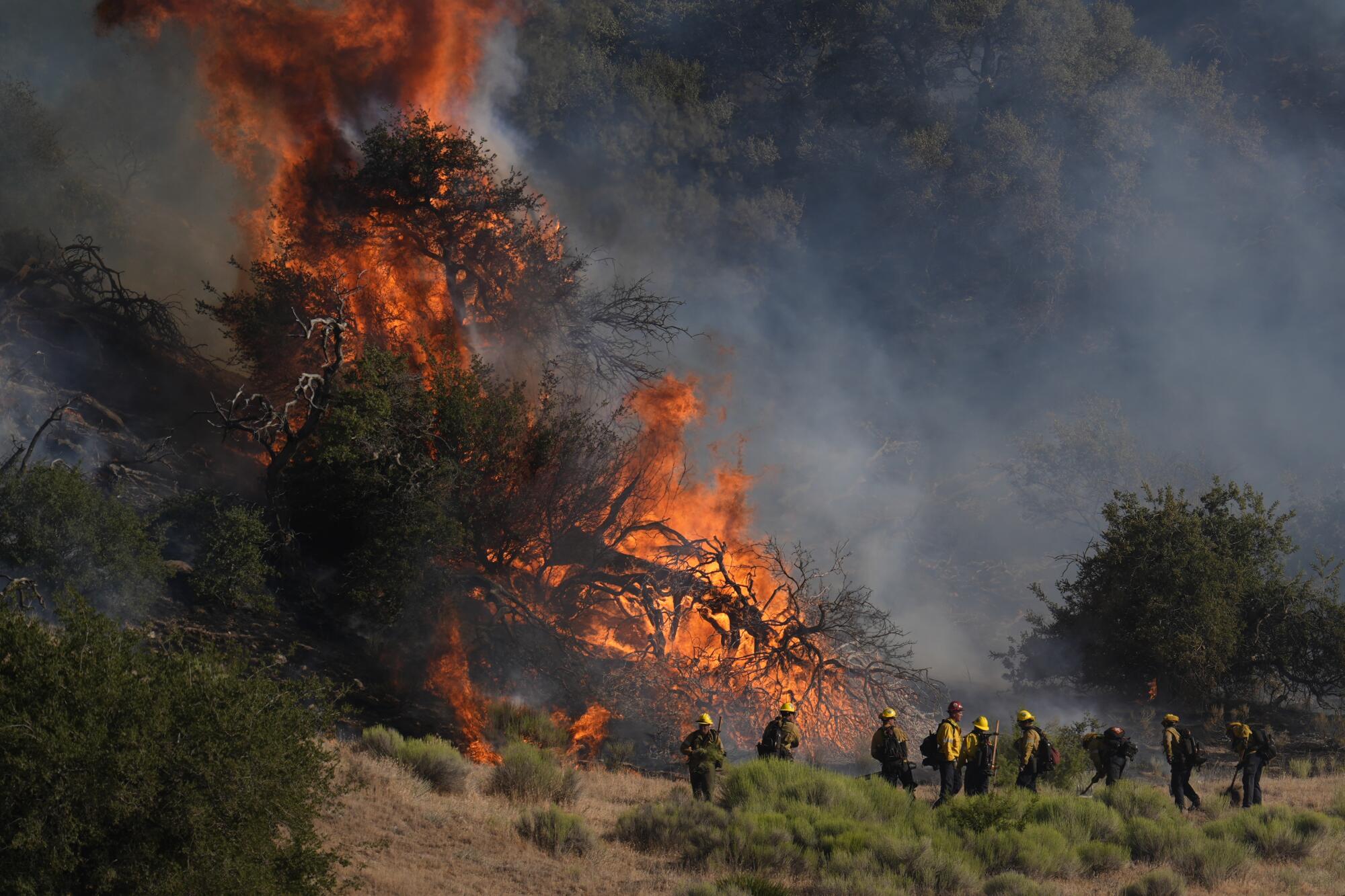 Firefighters work against the advance of the Post Fire on Saturday.