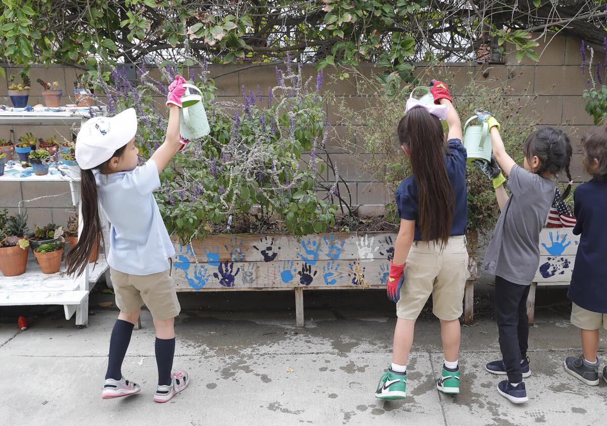 Kids from the Kinetic Academy "Green Team" water existing plants during a recent project in Huntington Beach.