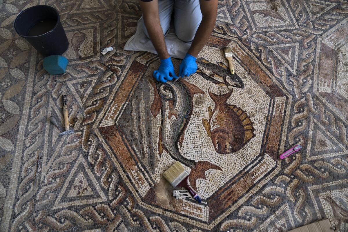 File:Detail of the Lod Mosaic, a dove, mosaic believed to belong to a large  and well-appointed Roman house and is dated to about A.D. 300, found in Lod,  Israel (13670962844).jpg - Wikimedia
