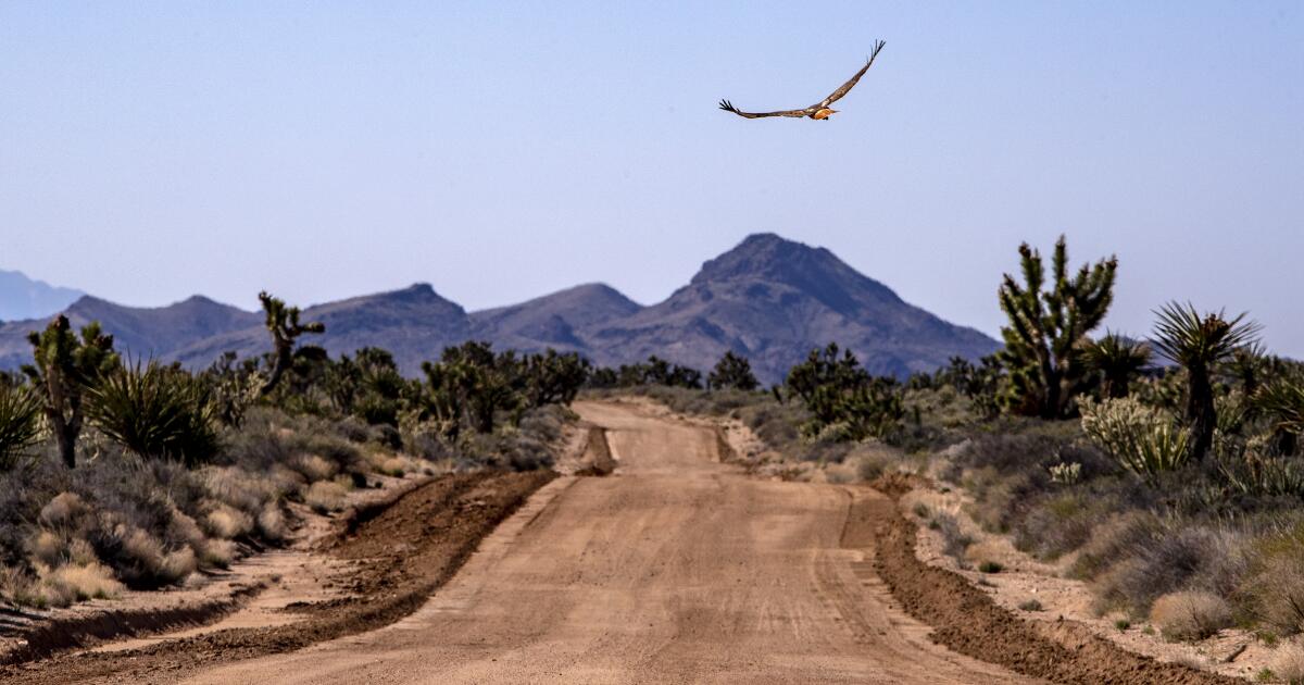 How Dianne Feinstein helped preserve the California desert