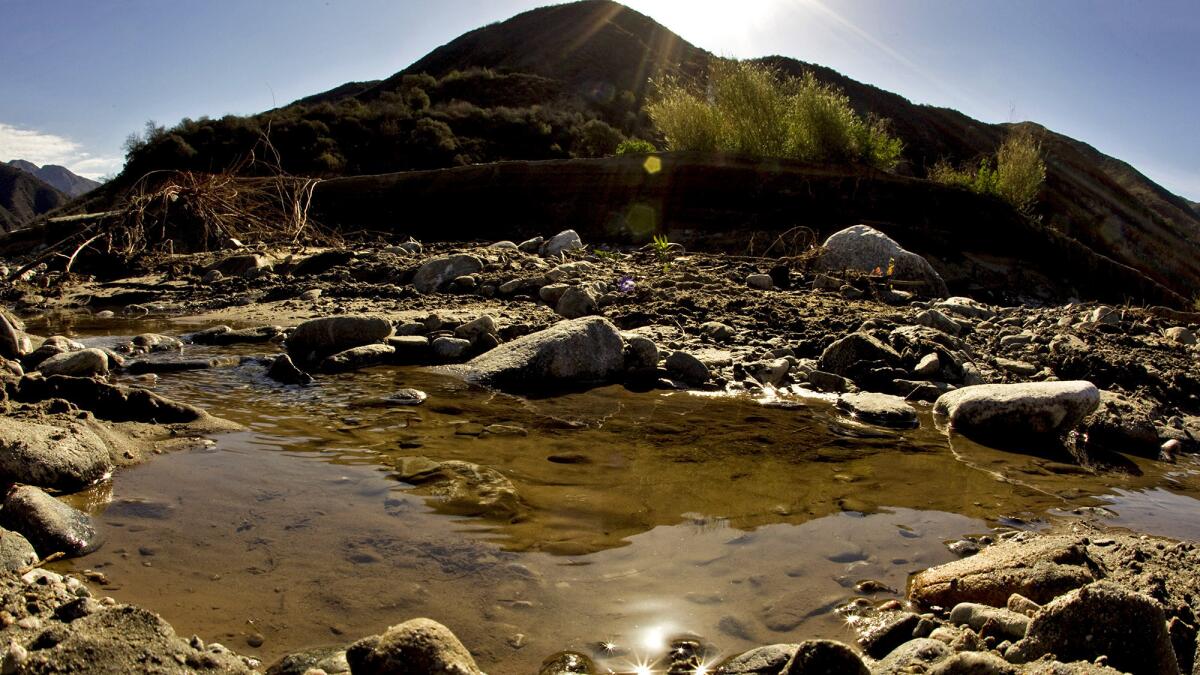 Puddles of water are all that remain in this photo taken March of the San Gabriel River's West Fork in the Angeles National Forest.