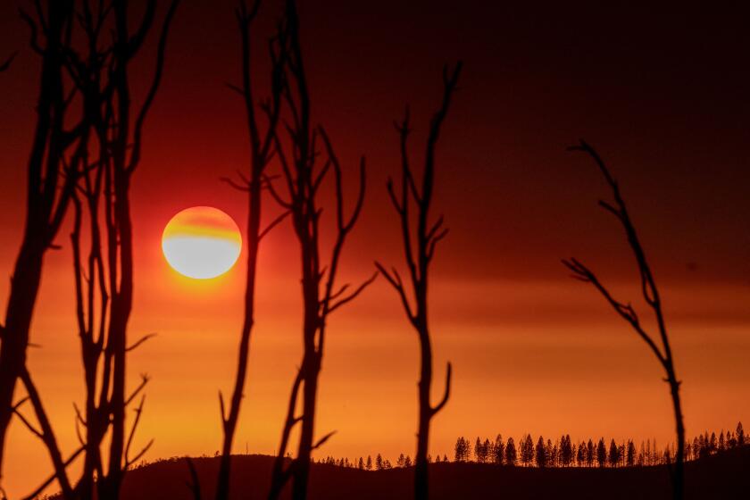 This photograph taken on July 25, 2022, shows parts of a forest destroyed by the Oak Fire with a sunset in the background near Mariposa, California, burning west of Yosemite National Park where the Washburn Fire has threatened the giant sequoia trees of the Mariposa Grove. - Firefighters were battling California's largest wildfire of the summer on July 25, 2022, a blaze near famed Yosemite National Park that has forced thousands of people to evacuate, officials said, as the Oak Fire in Mariposa County has engulfed 16,791 acres (6.795 hectares) and is 10 percent contained, Cal Fire, the state fire department, said. (Photo by DAVID MCNEW / AFP) (Photo by DAVID MCNEW/AFP via Getty Images)