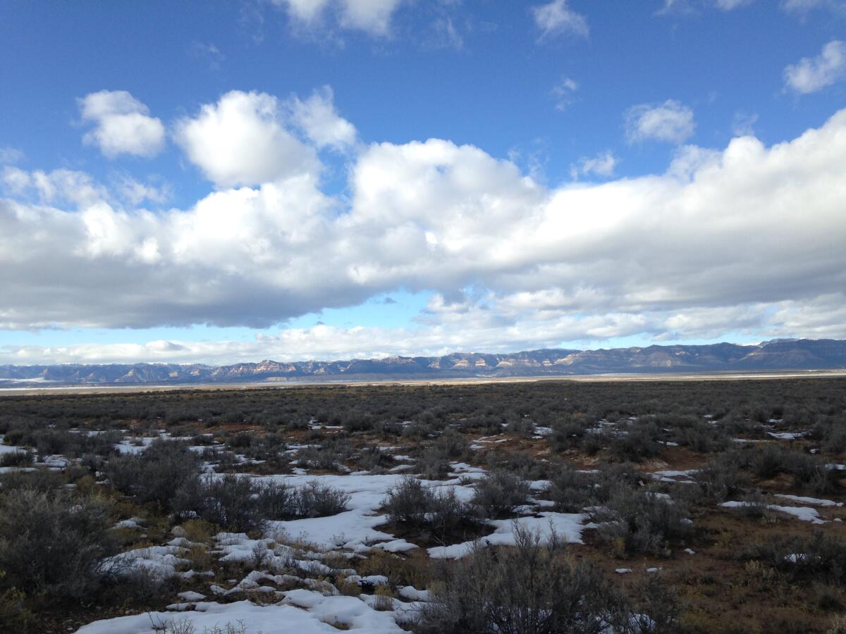 Scattered snow on a piece of public land