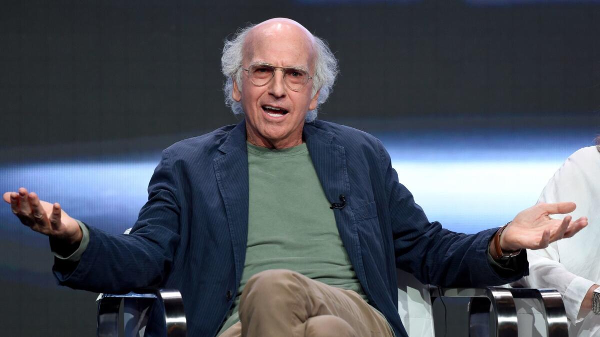 Actor-creator-executive producer Larry David speaks at the "Curb Your Enthusiasm" panel during the Television Critics Assn. summer press tour at the Beverly Hilton.