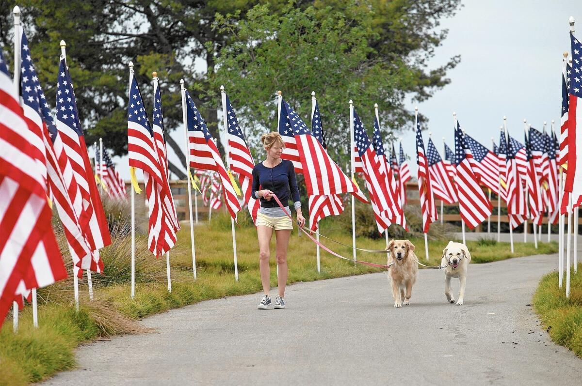 Lisa Westerhout, of Newport Beach, walks Tamara, right, a service dog, and Molly, center, a rescue dog, thru the Field of Honor at Castaways Park in 2013.