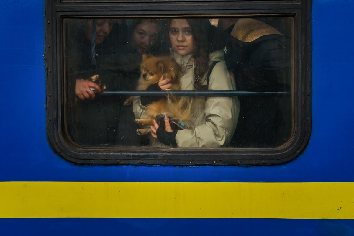 A young woman holds a dog and looks out the window of a blue and yellow train as several people crowd behind her.