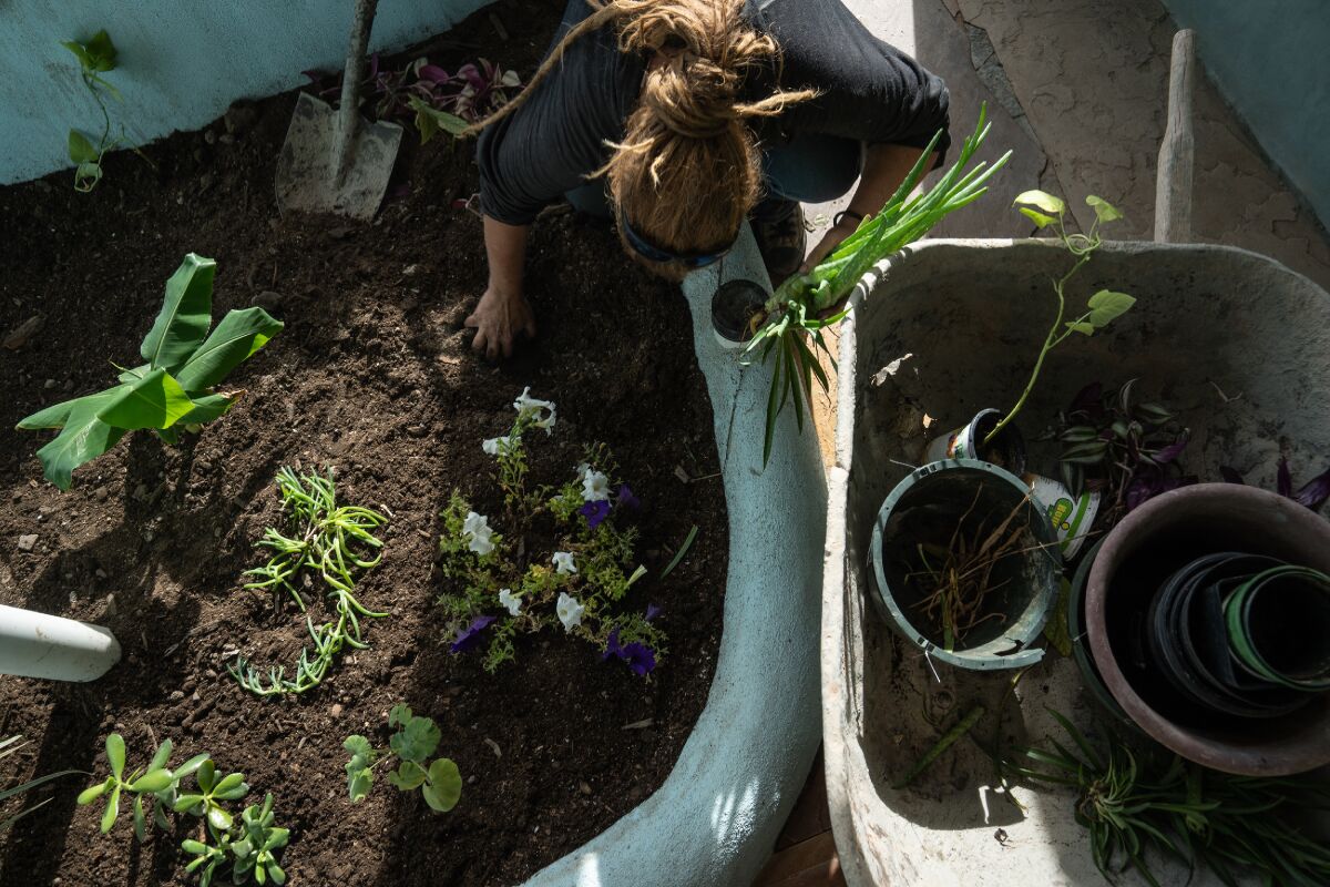 A woman tends a garden at an Earthship. Residents grow much of the food they need.