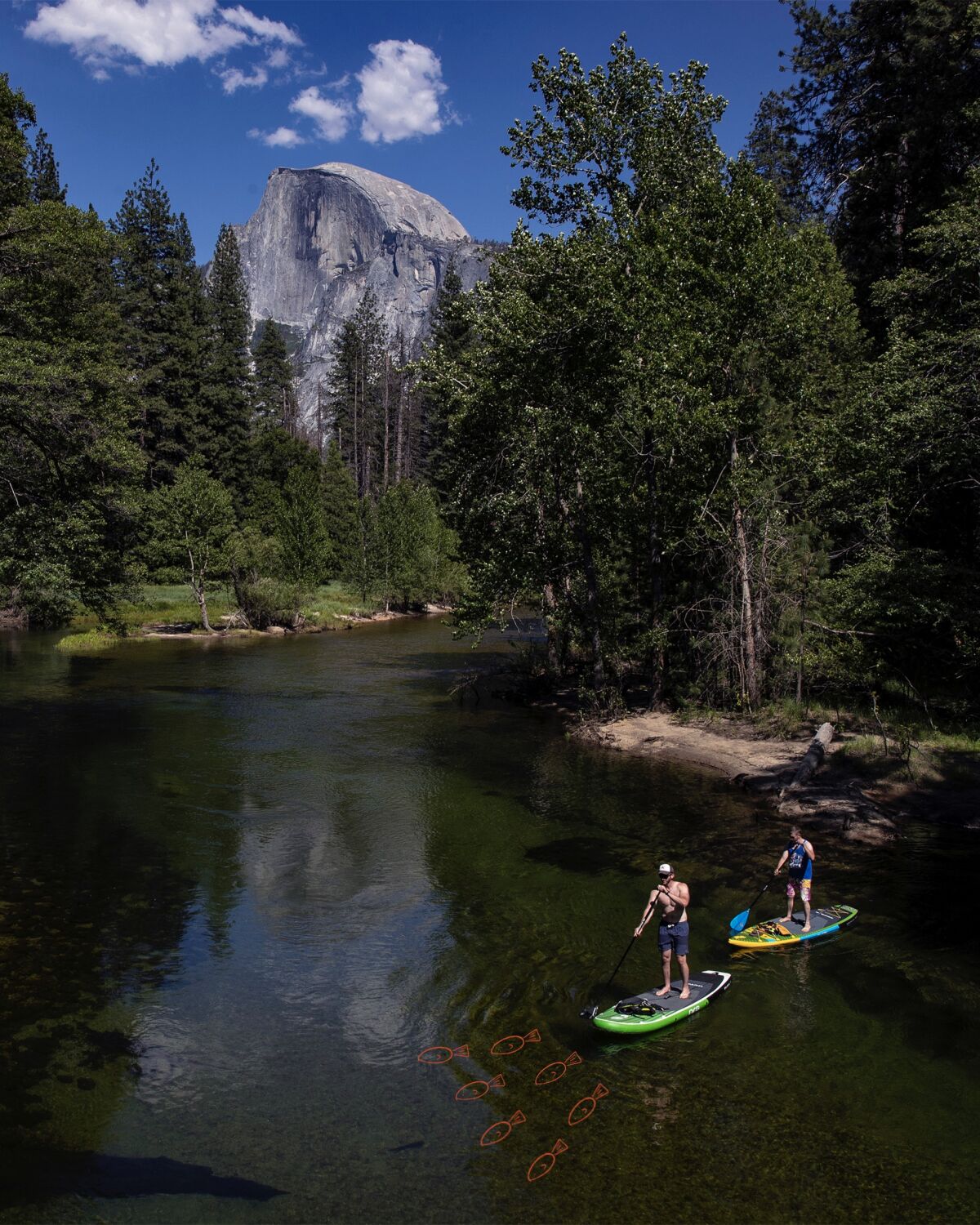 Paddle boarders on the Merced River in Yosemite Valley.