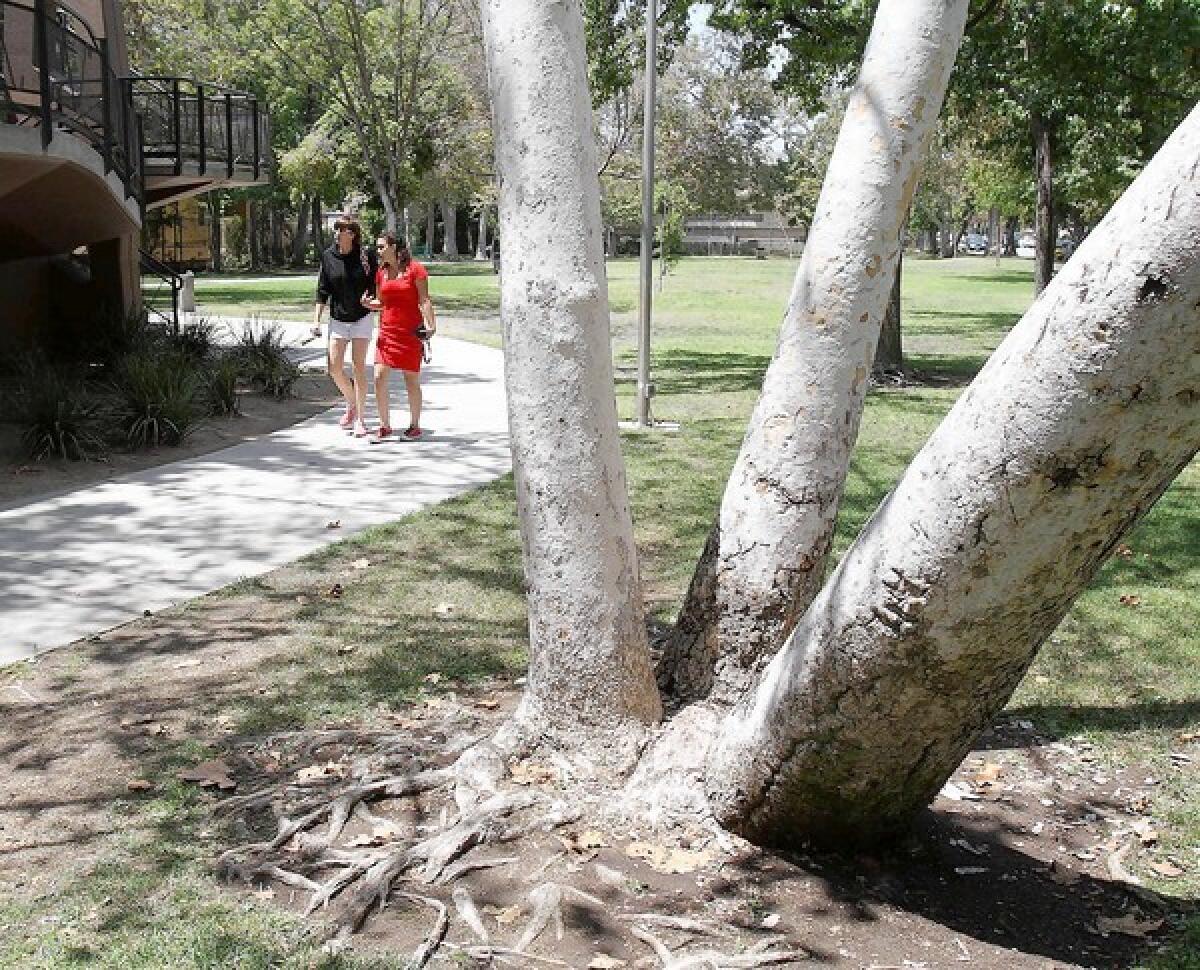 All parks in Glendale, including Maple Park pictured here, will be closed this weekend as the city works to deter gatherings that might lead to the spread of the novel coronavirus. With Easter on Sunday and warmer weekend temperatures expected, city officials said they think residents might be tempted to head to the parks.