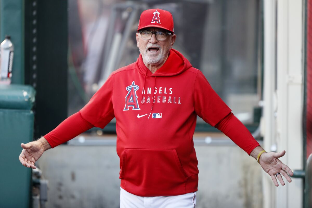 Angels manager Joe Maddon gestures in the dugout before a game against the New York Yankees on Aug. 31. 