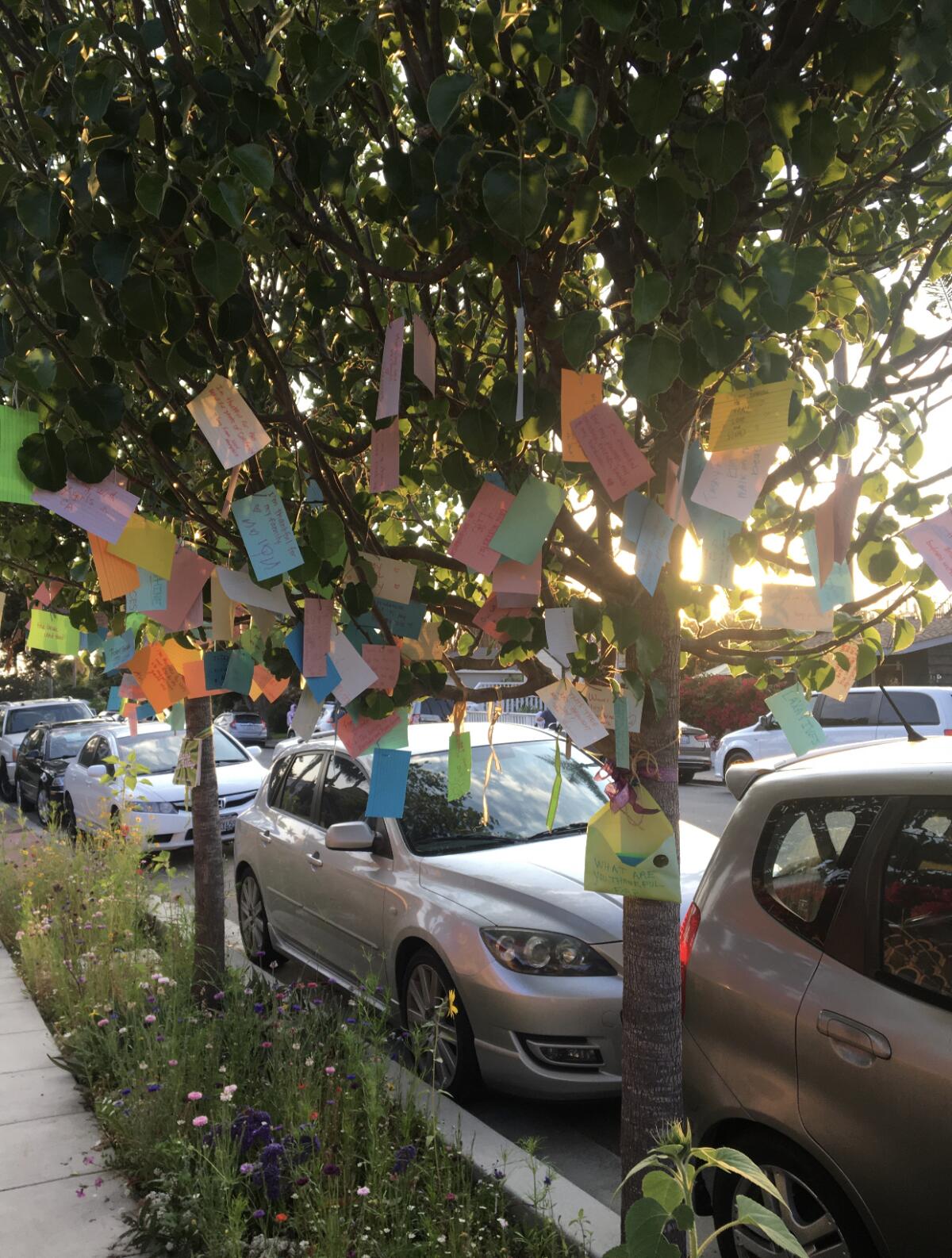 Over the past year and a half, Molly Bowman-Styles has hung cards on trees outside her La Jolla home, asking for messages.