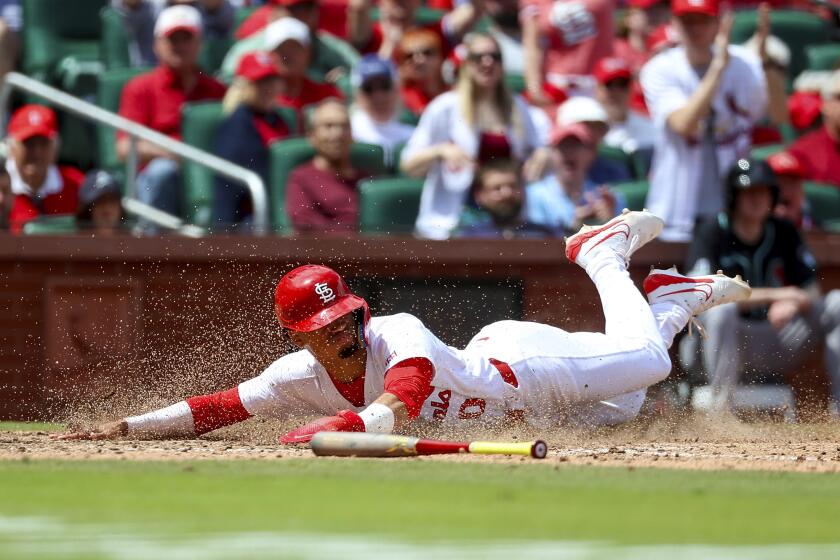 Masyn Winn de los Cardenales de San Luis anota una carrera ante los Diamondbacks de Arizona, el miércoles 24 de abril de 2024, en San Luis. (AP Foto/Scott Kane)