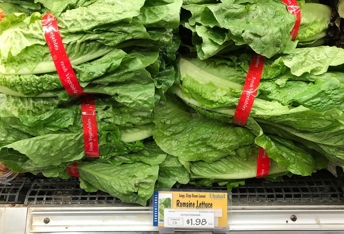 Another E. coli outbreak hits California romaine lettuce