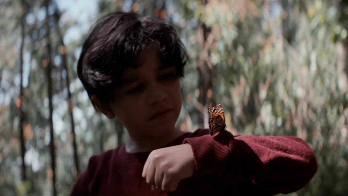 Kaarlo Isaacs in Alexis Gambis' "Son of Monarchs," an official selection of the 2021 Sundance Film Festival.