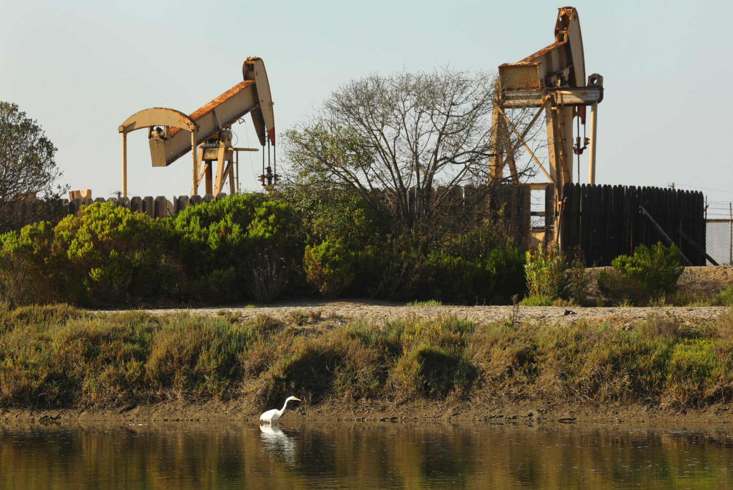 Conservationists near goal of turning Orange County oilfield into nature preserve