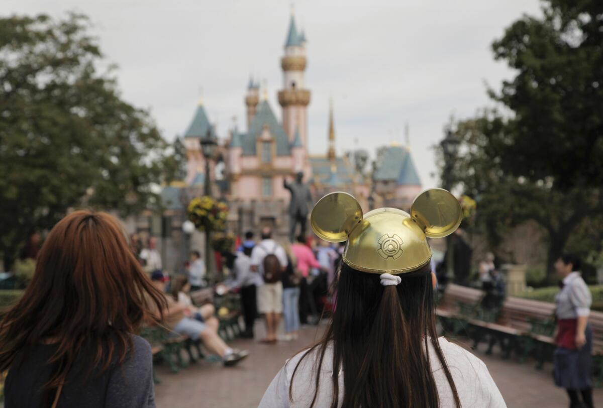 A measles outbreak that spread at Disneyland has brought an anti-vaccine book into the spotlight.