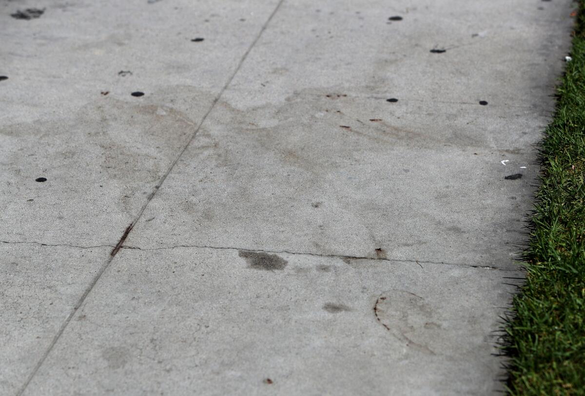 Faint bloodstains on the sidewalk of Boynton Street where a man was shot and killed Monday night.