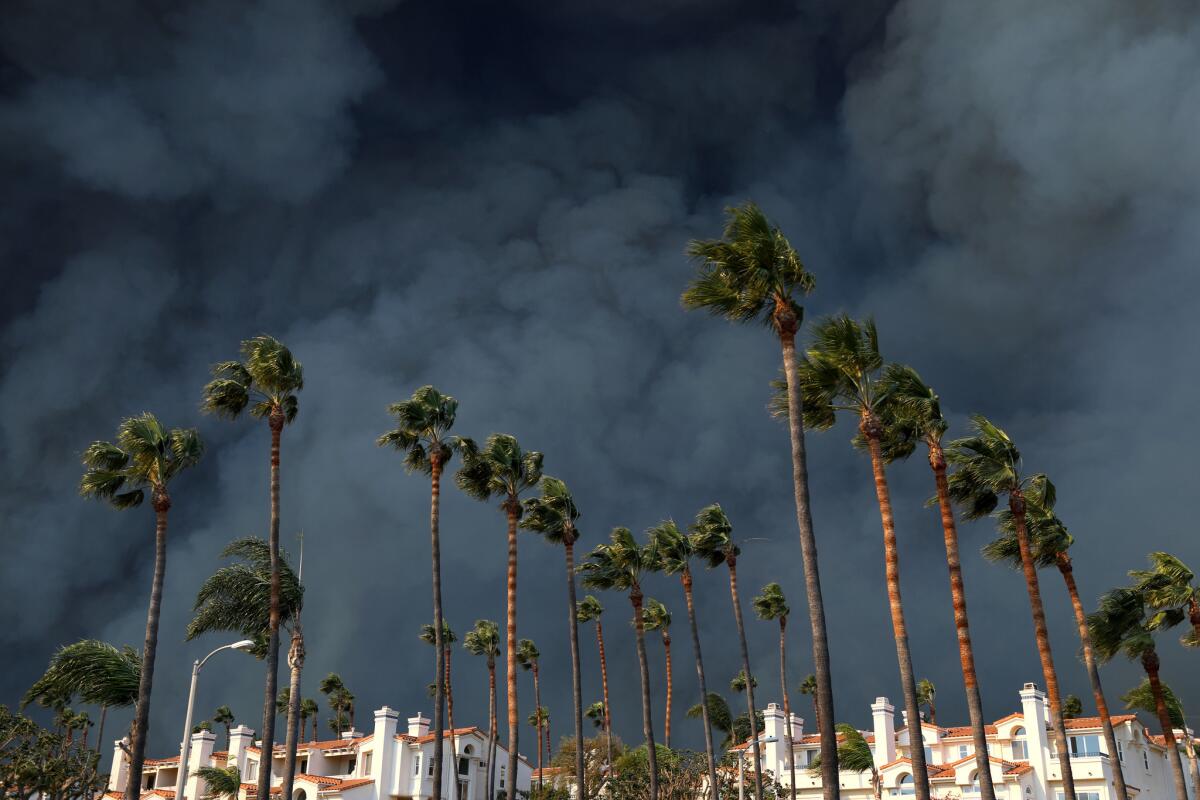 Smoke from the Woolsey fire billows behind buildings and palm trees along PCH in western Malibu.