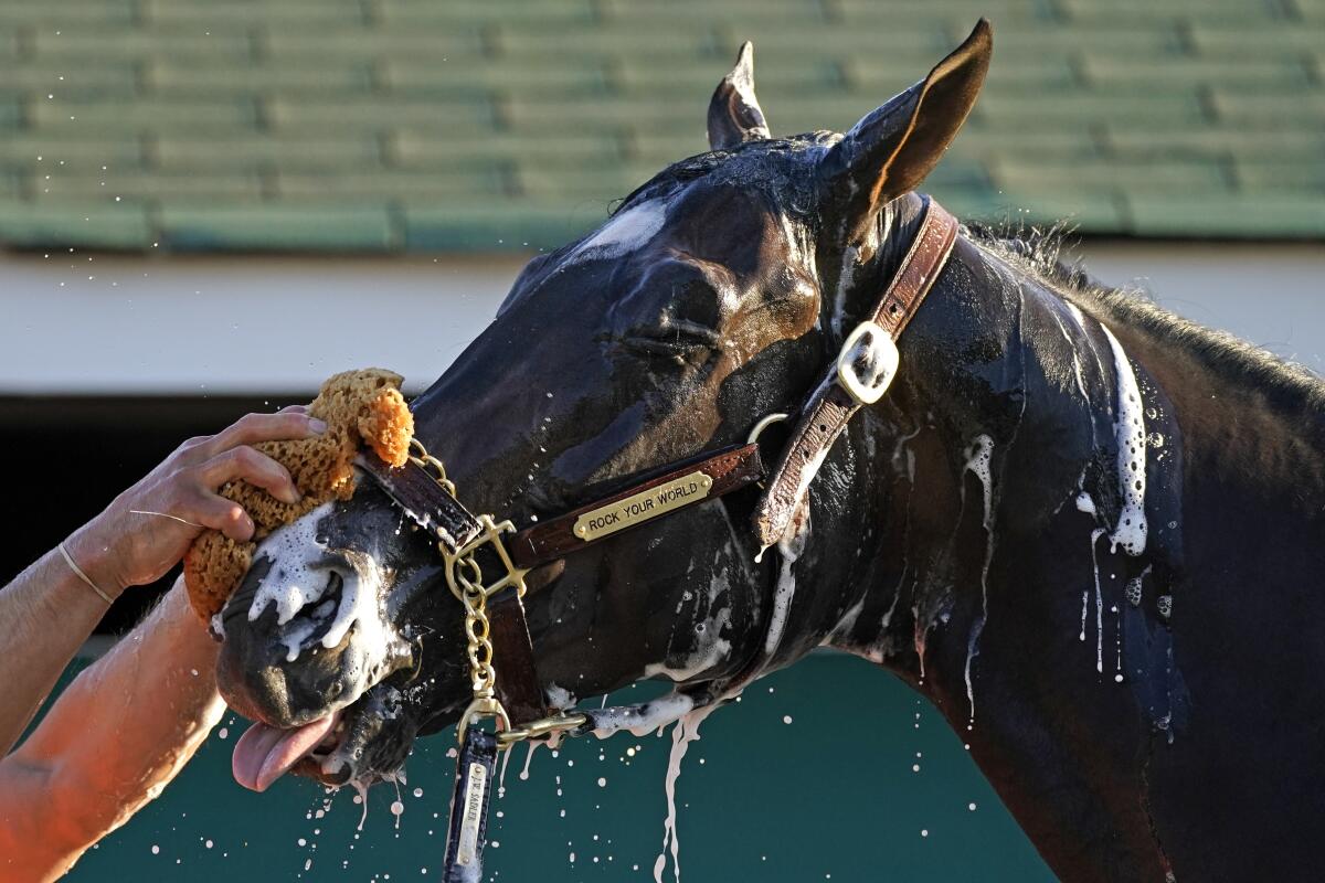 Kentucky Derby hopeful Rock Your World gets a bath after a workout at Churchill Downs.