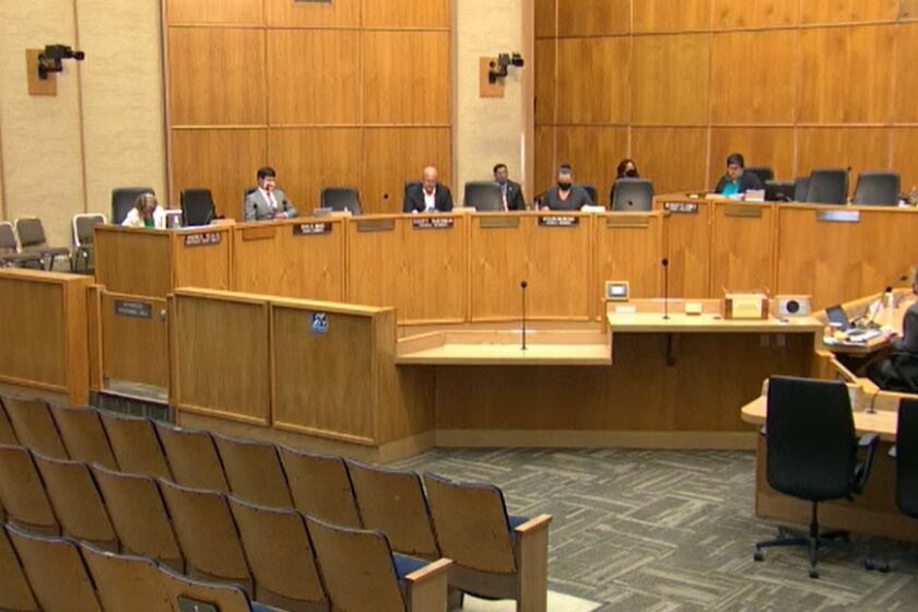 Screenshot of the San Diego City Council meeting on July 28, 2020.