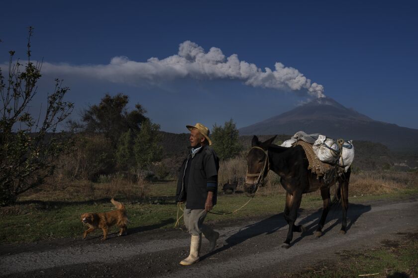 FILE - Jose Marcos de Olarte walks his mule to plant corn on his land near the Popocatepetl volcano, in Santiago Xalitzintla, Mexico, May 25, 2023. Mexico lowered the alert level on the Popocatepetl volcano Tuesday, June 6, 2023, after more than two weeks of its eruptions of gas and ash. (AP Photo/Marco Ugarte, File)
