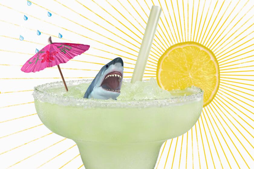 Margarita with a sunny lemon, shark and cocktail umbrella.