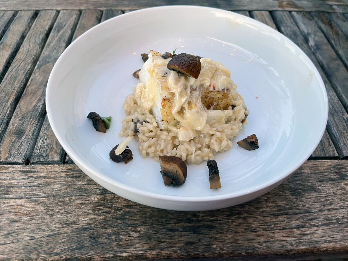 Pan-roasted Chilean sea bass with risotto, forest mushrooms and crab fondue is served at Mermaids & Cowboys.