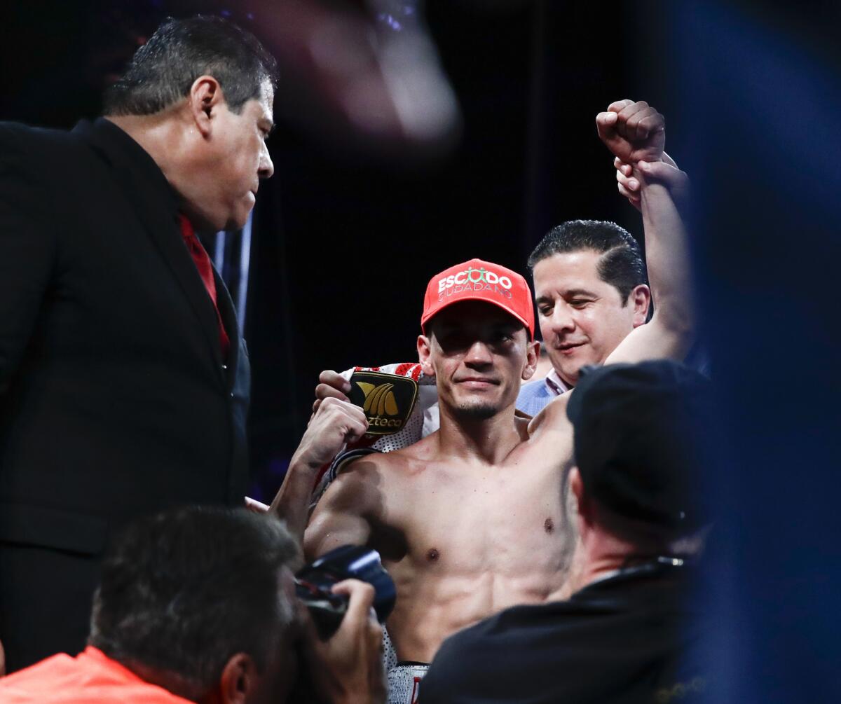 Juan Francisco Estrada, of Mexico, celebrates his win over Carlos Cuadras, of Mexico, during their WBC super flyweight title boxing match Saturday, Sept. 9, 2017, in Carson, Calif. (AP Photo/Chris Carlson)