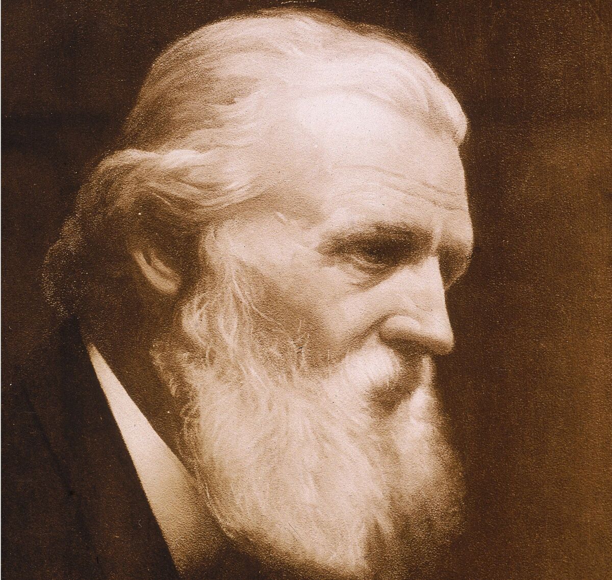 Side profile of a man with a white beard 