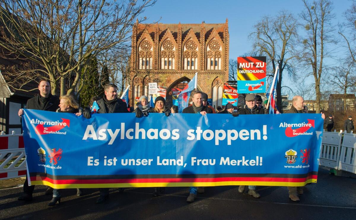 Several hundred supporters of the Alternative for Germany party protest against the German government's asylum policy on Jan. 9 2016.