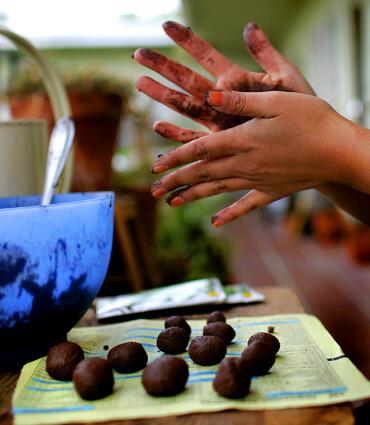 Seed bombs