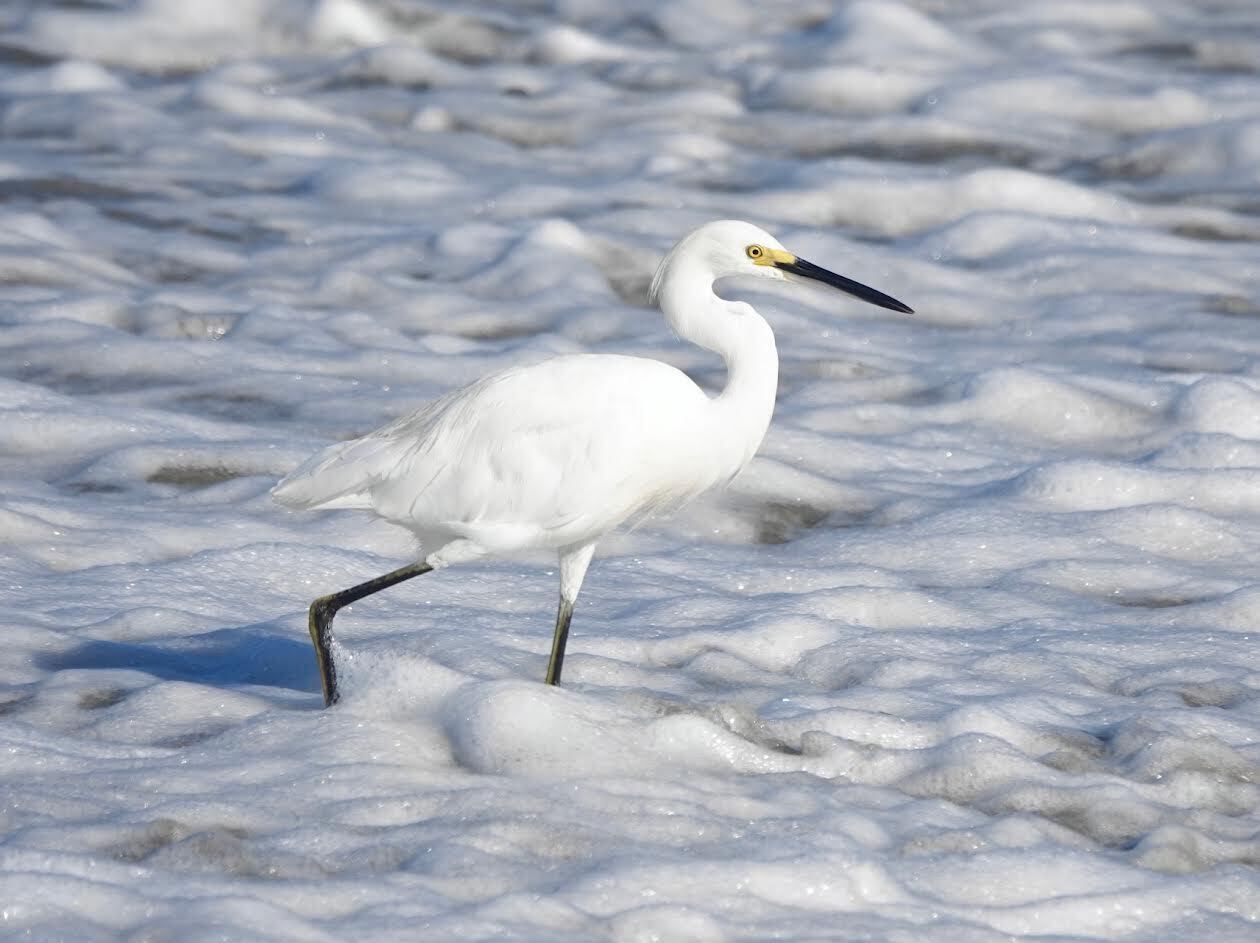 San Diego's weather turning cooler than normal for the first ...