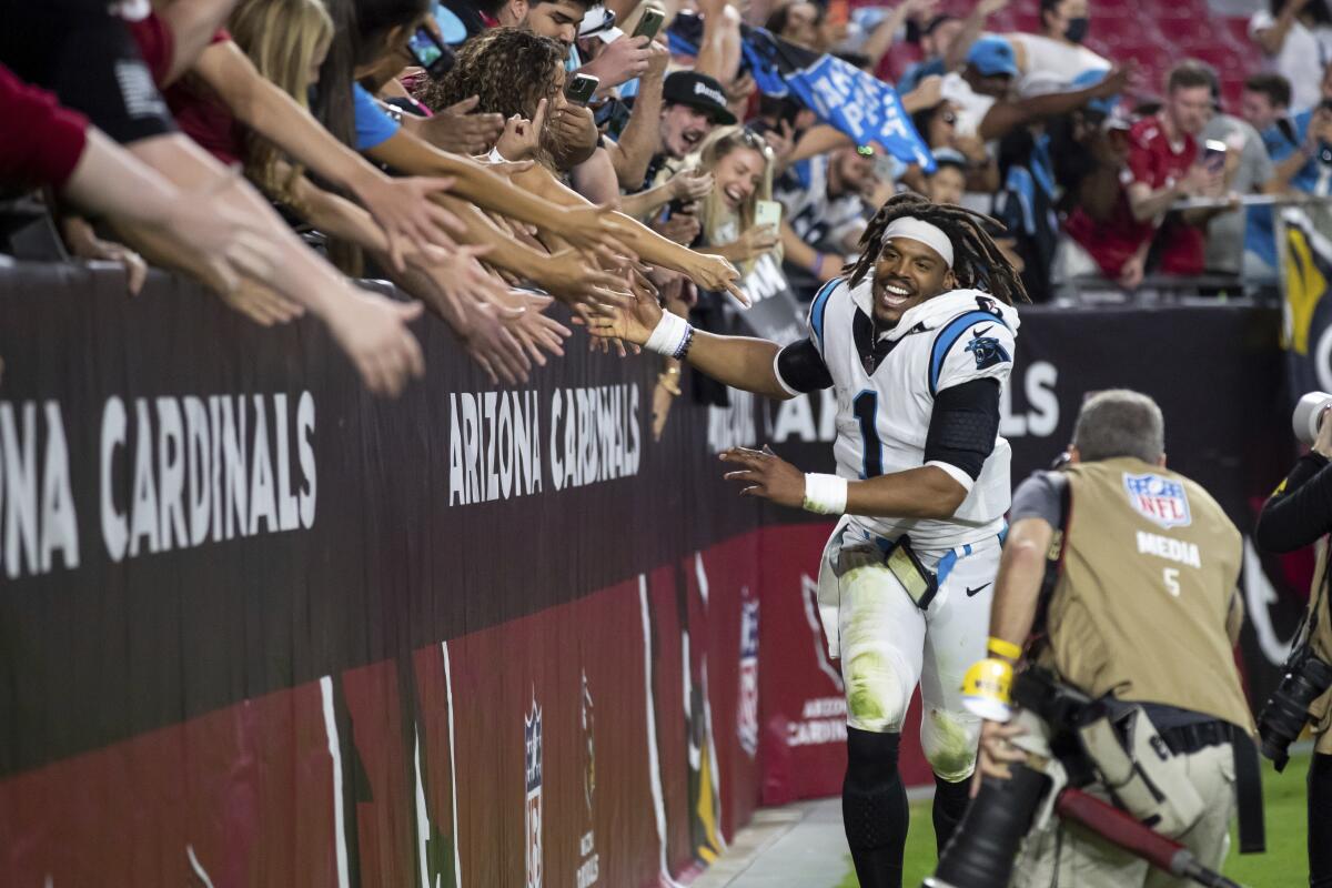 Carolina Panthers quarterback Cam Newton high fives fans after beating the Arizona Cardinals.