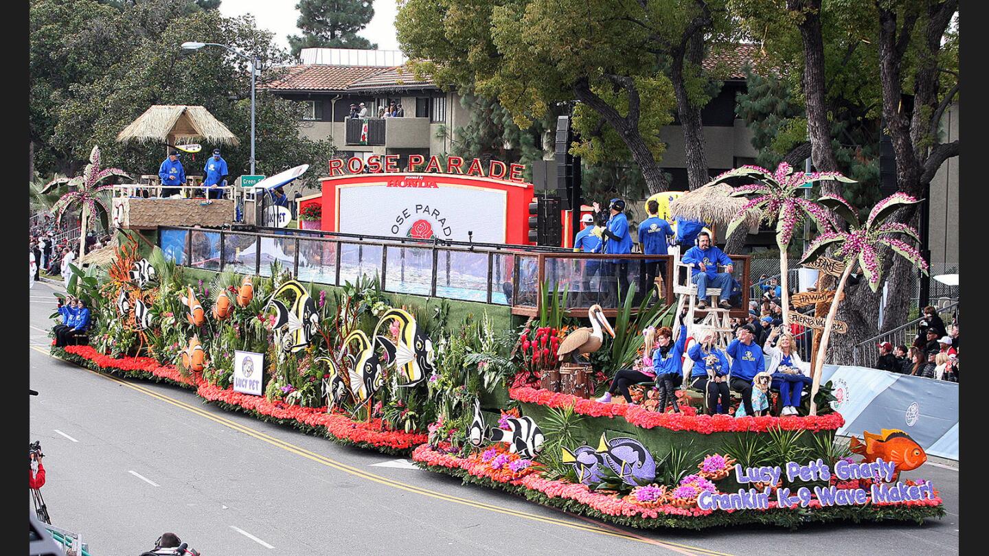 Photo Gallery: 2017 Rose Parade