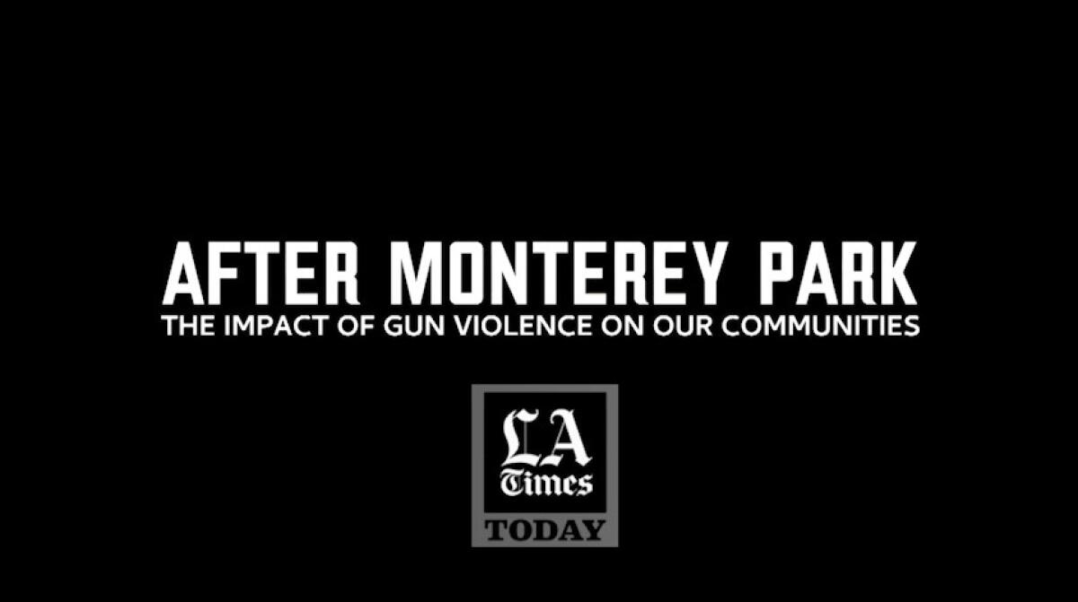 Graphic reading "After Monterey Park: The Impact of Gun Violence on Our Communities"