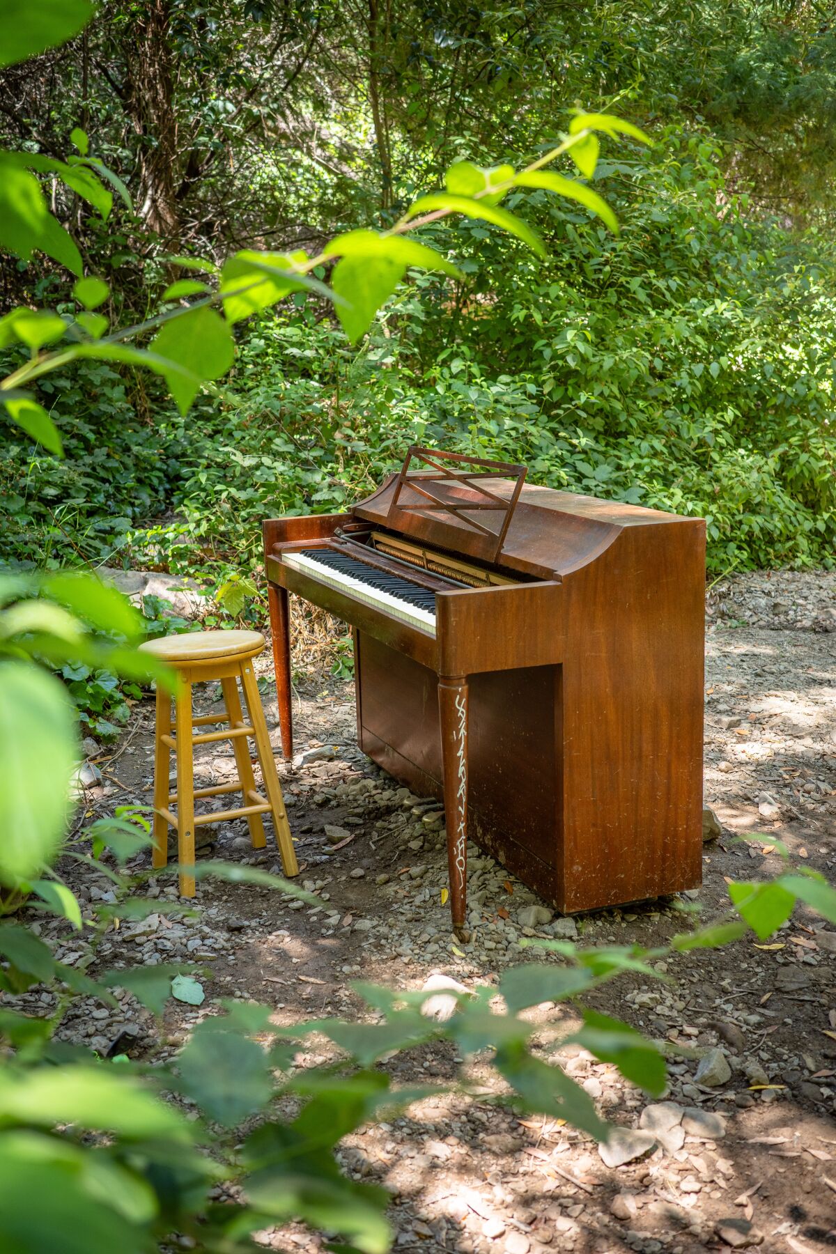 A piano and a stool in a wilderness area.