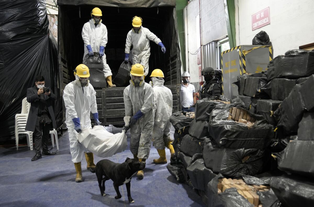 ARCHIVO - Trabajadores cargan droga incautada en varios operativos de la policía para su incineración 