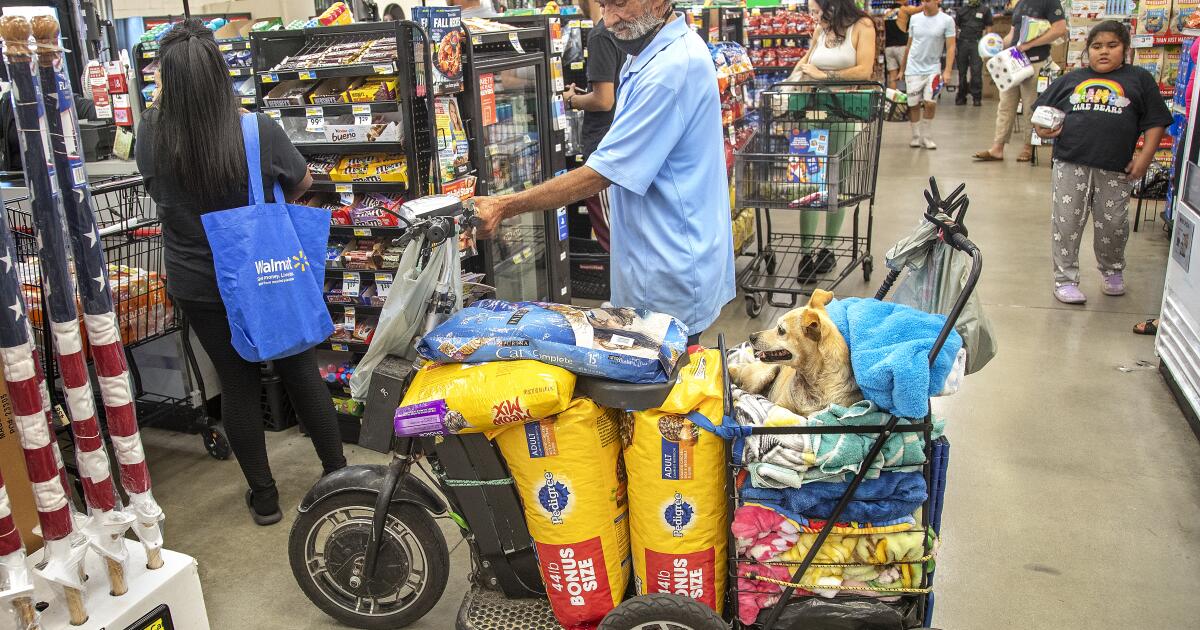 宠物可以进入商店吗？以下是你应该了解的