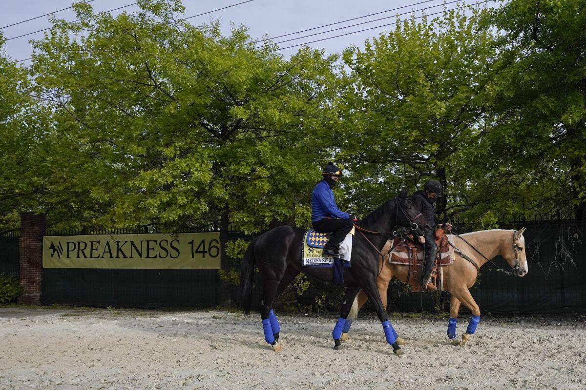 Exercise rider Humberto Gomez, top left, takes Kentucky Derby winner and Preakness entrant Medina Spirit to the track for a training session ahead of the Preakness Stakes horse race at Pimlico Race Course, Wednesday, May 12, 2021, in Baltimore. (AP Photo/Julio Cortez)