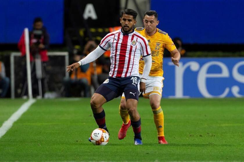 El jugador de Chivas Miguel Ponce (frente) disputa el balón con Israel Jiménez (atrás) de Tigres. EFE/Archivo