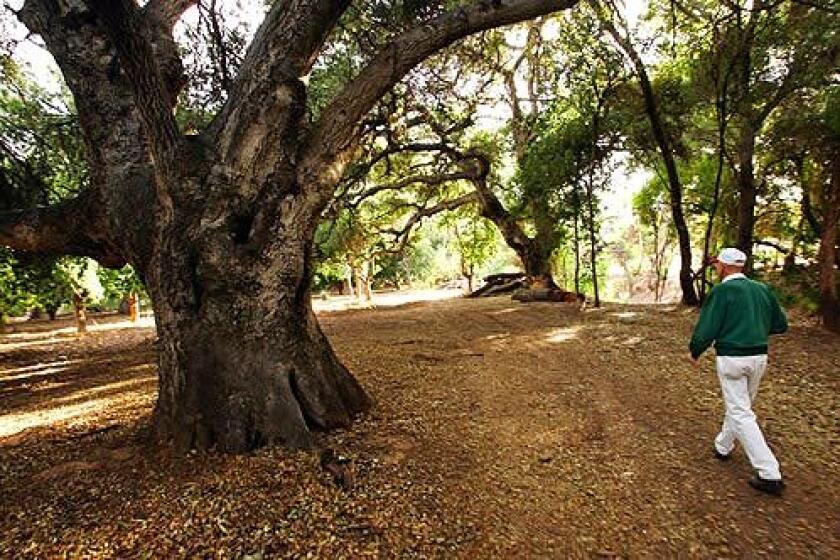 Gil Tellier strolls the grounds of Orcutt Ranch in Canoga Park, the former vacation home of oil engineer William Warren Orcutt. Visitors can wander 40 acres of citrus groves, rose gardens, stream, grotto, and oaks.