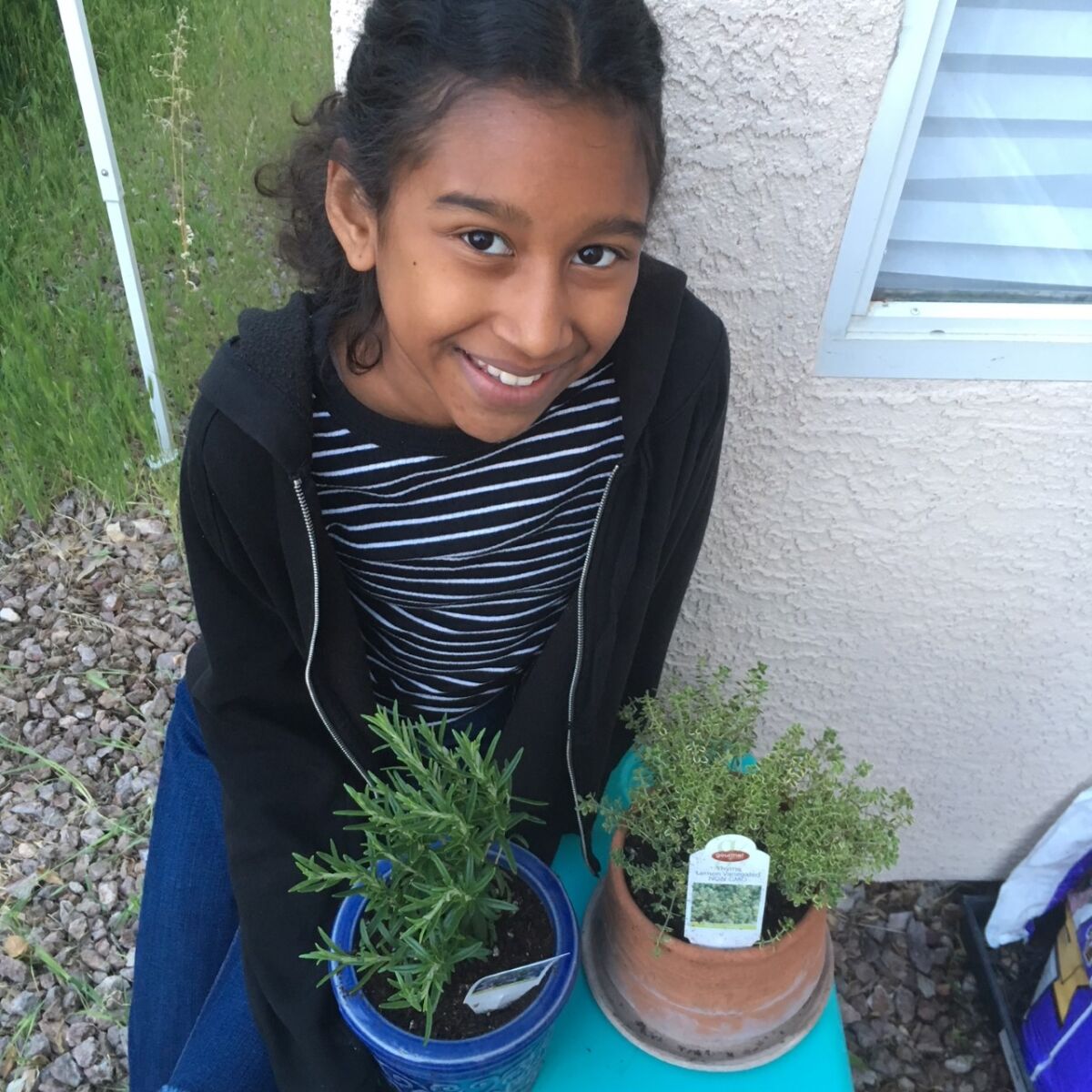 Kumei Norwood, 11, of Los Vegas tends to plants in her garden as part of her homeschooling activities.