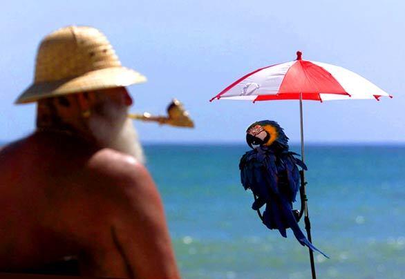 Franco Fonte of Laguna Niguel and his macaw Jimmy B. at Doheny State Beach.