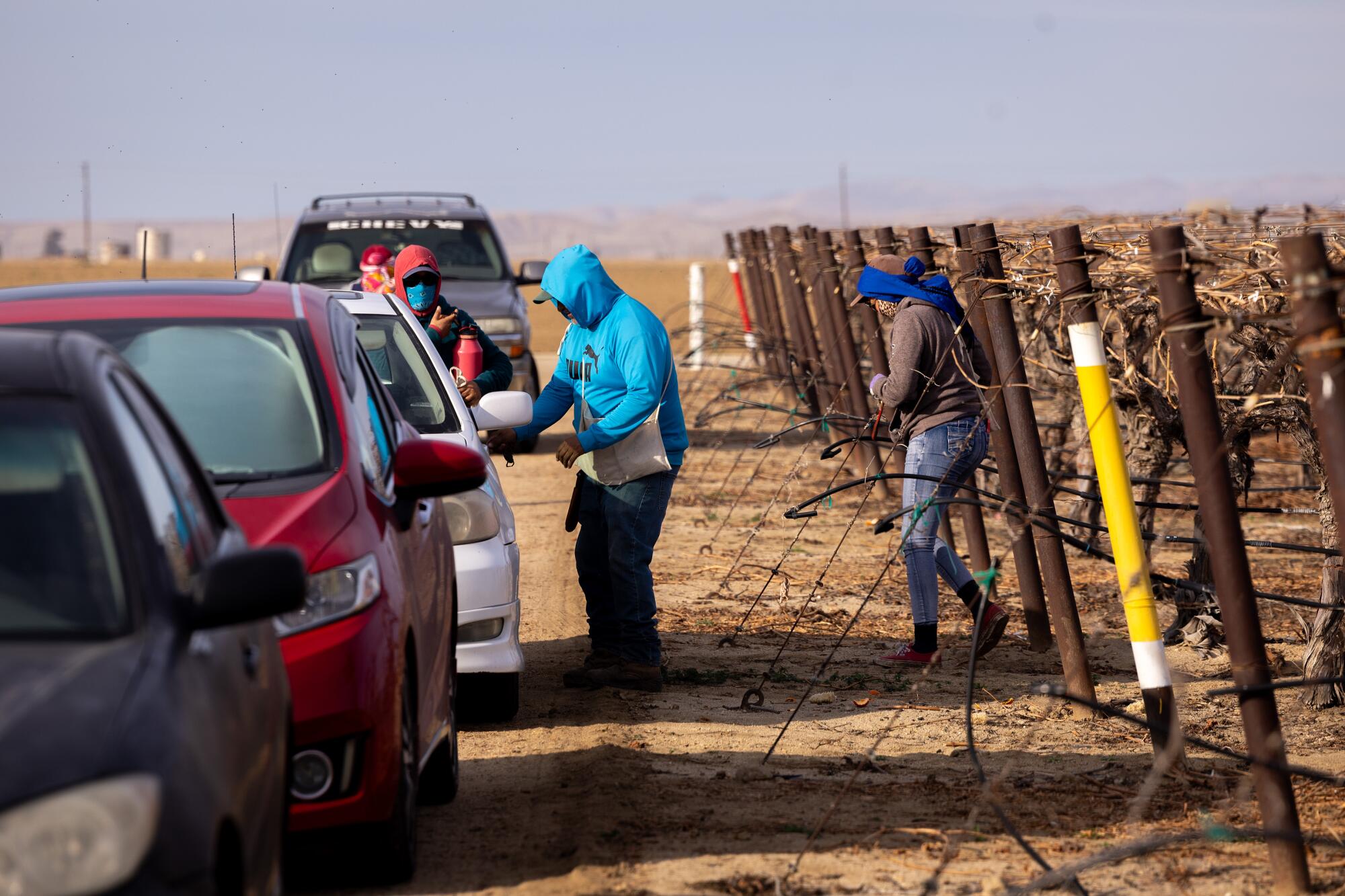 Farm workers pack their bags to leave after a day of working at the vineyard