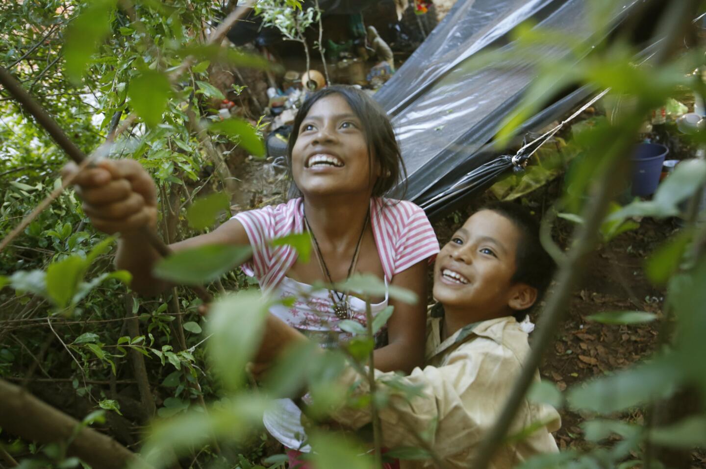 After a day picking tomatillos, she and cousin Pedro Vasquez try to knock a mango from a tree behind their family's temporary home in Arandas, Jalisco.