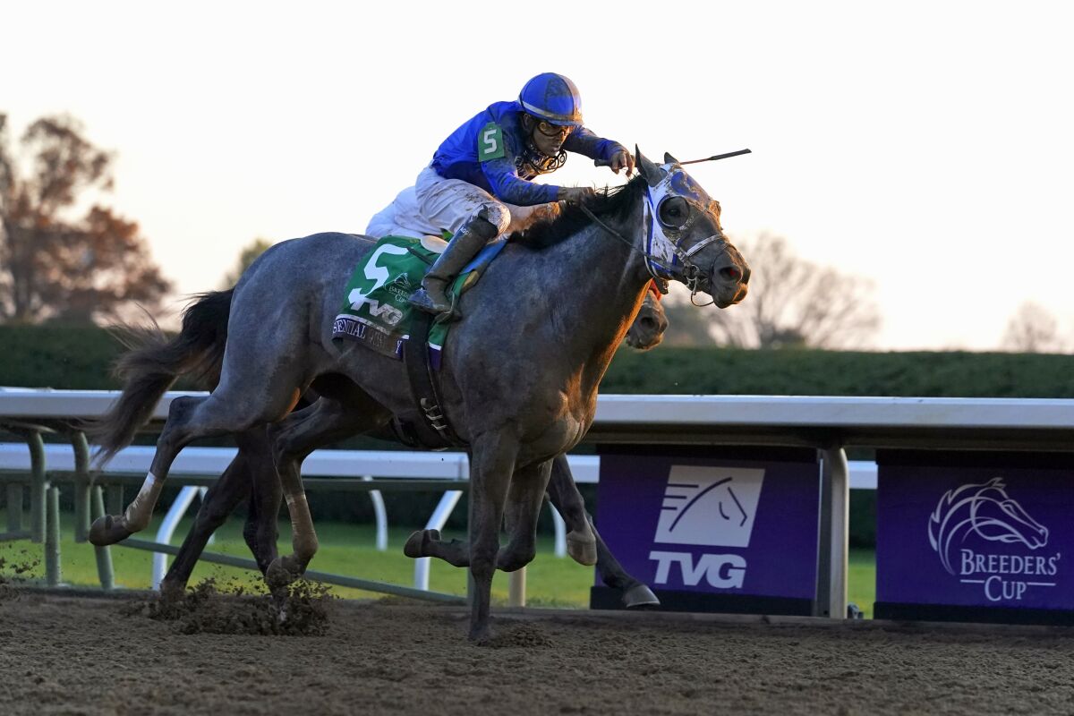 Essential Quality gallops to victory in the Breeders' Cup Juvenile at Keeneland Race Course in Lexington, Ky., on Nov. 6.