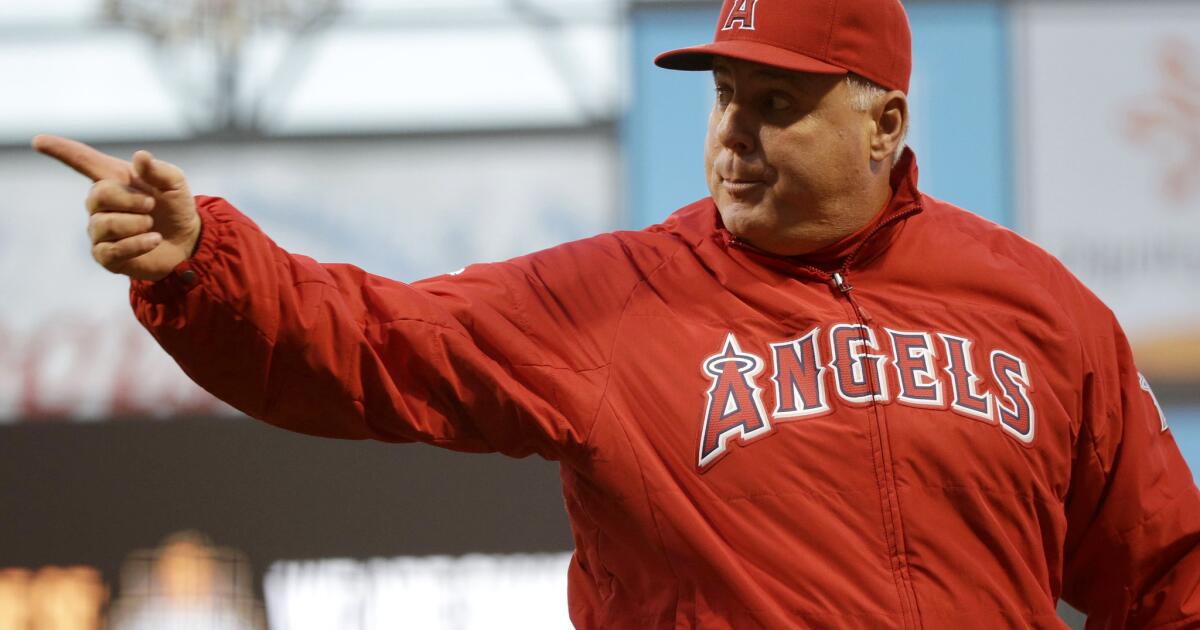 Mike Scioscia Is in a Joe Torre Situation