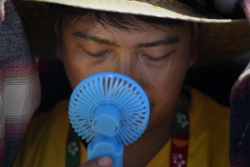 FILE - A World Youth Day volunteer uses a small fan to cool off from the intense heat, as he waits ahead of the Pope Francis arrival at Passeio Marítimo in Algés, just outside Lisbon, Aug. 6, 2023. UN weather agency says Earth sweltered through the hottest summer ever as record heat in August capped a brutal, deadly three months in northern hemisphere. (AP Photo/Armando Franca, File)