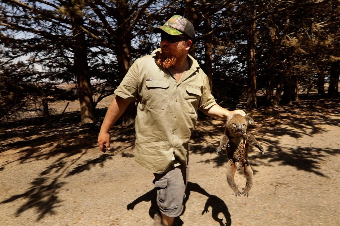 Wildlife on Kangaroo Island